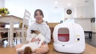 PETKIT PURA MAX 1 Year Review! (self cleaning litter box)