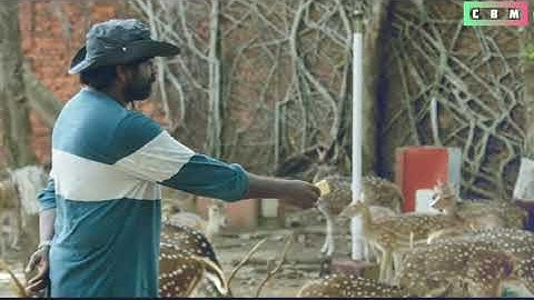 Life of Ram | WhatsApp Status Video | 96 Movie