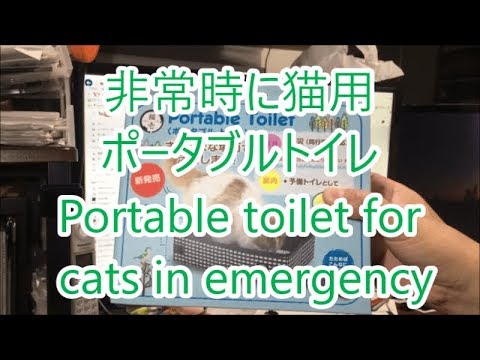 激安おすすめポータブル猫トイレ。携帯してペットの散歩災害時等非常時にPortable Cat Toilet｜Recommended pets