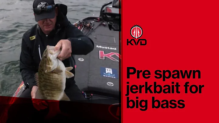 Pre spawn small mouth jerkbait fishing — with KVD