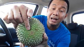 Tips & Latihan Memilih Durian Enak yg Perlu Dipelajari.