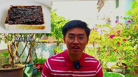 🌟 "Độc lạ" Úc châu qua góc nhìn của Du học sinh cấp 3 tại Úc | Chia sẻ của du học sinh SET 💫