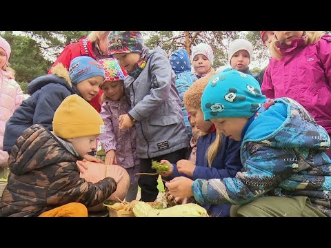 Video: Vai irfc akcijas ir piešķirtas?