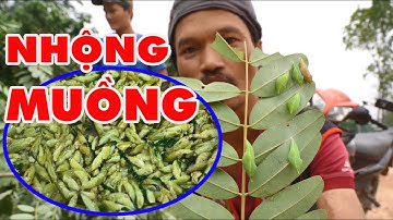 MÓN ĂN DÂN DÃ TÂY NGUYÊN - NHỘNG MUỒNG | Già Làng Tây Nguyên