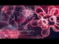 The Evolution Of Viruses | Science Full Documentary | The Deadliest Viruses In The World