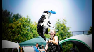 USDDN Dogfrisbee European Championship | Trnava 2018