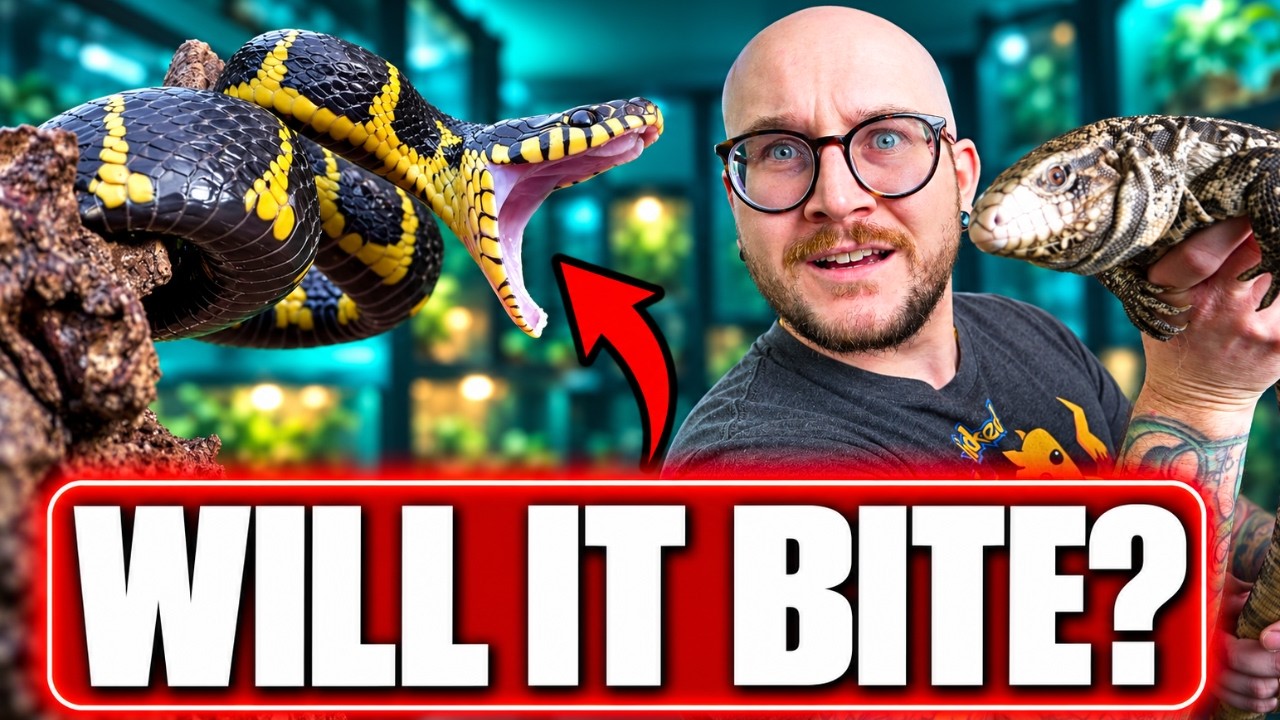 These Reptiles are all Bark and No Bite