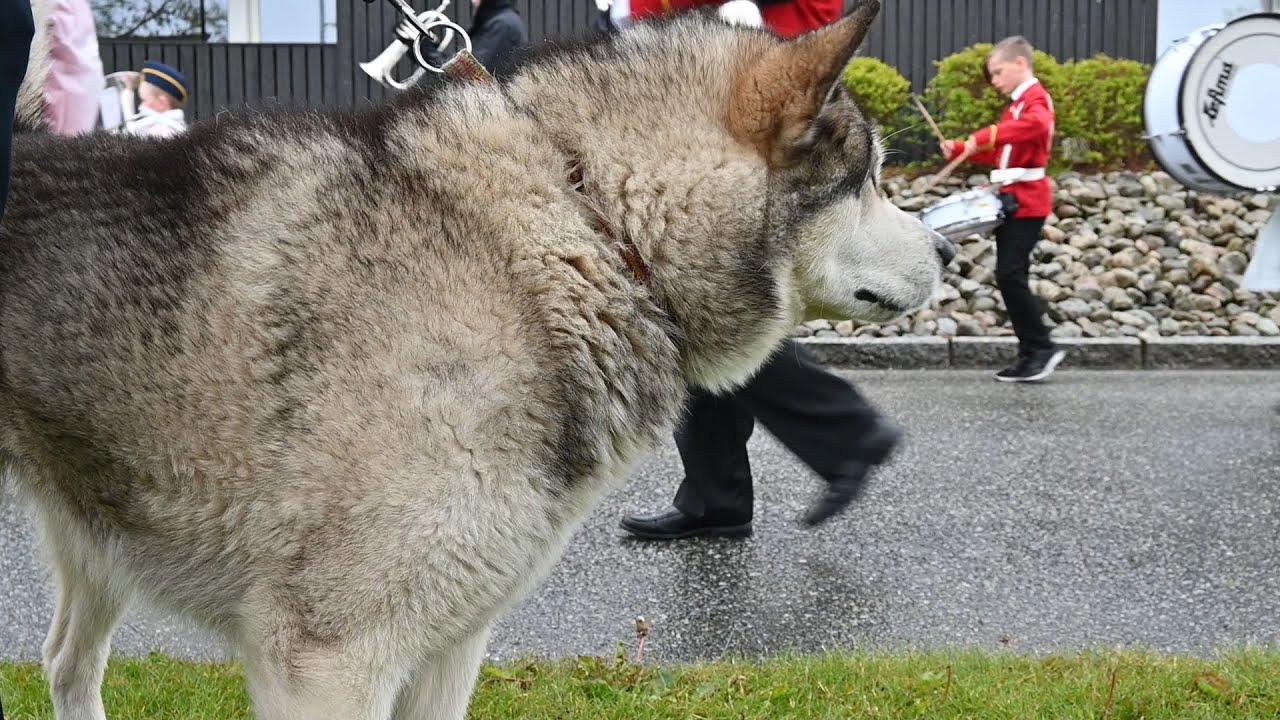 17. Mai 2020 - Korps og flaggborg på Frøyland
