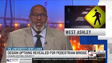 VIDEO: Design options revealed for Ashley River pedestrian bridge