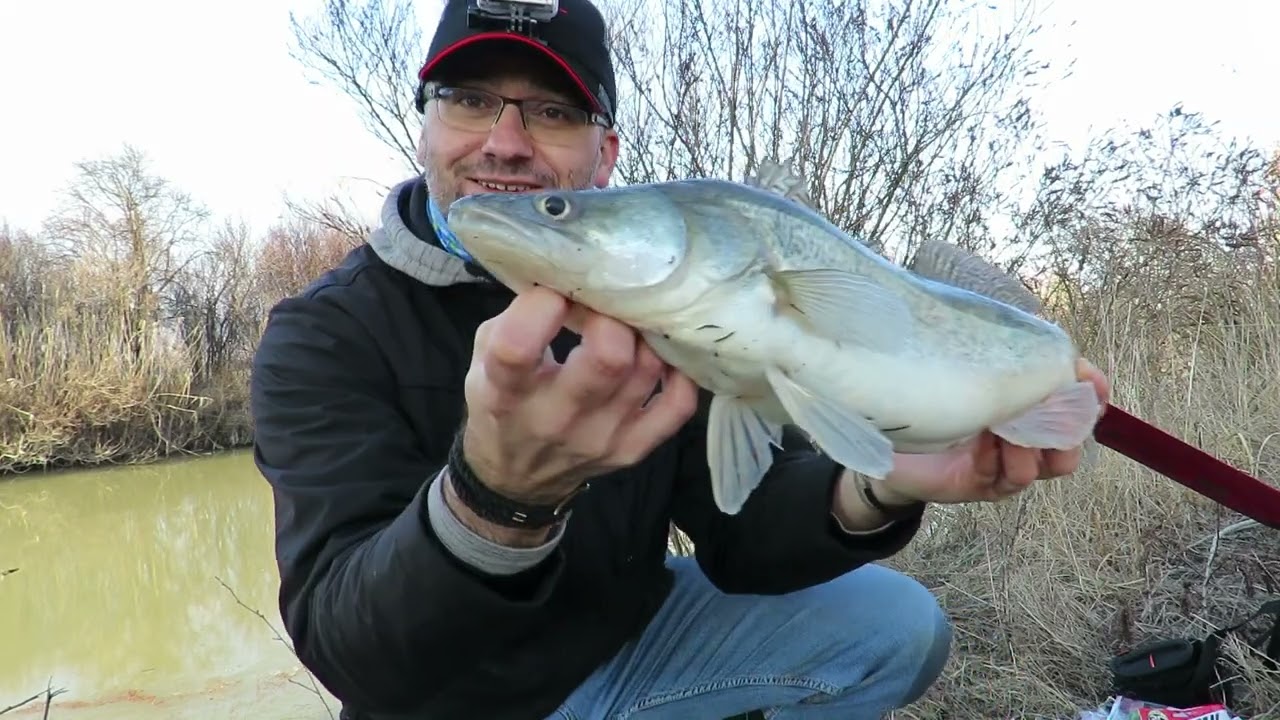 Pergetés Szalai Gáborral - 58. adás: Süllőtilalom előtt a csatornán 1. rész