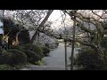 奈良 吉野山 竹林院群芳園