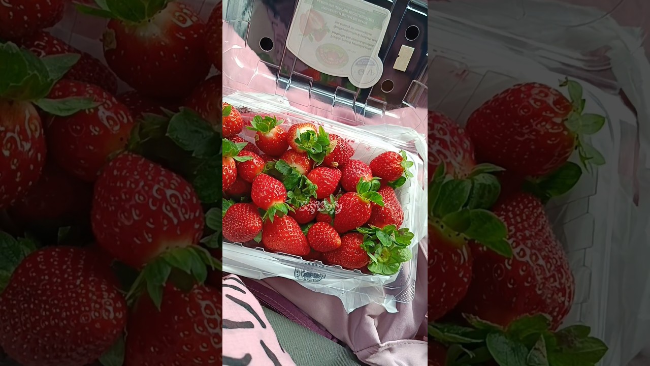 Big Red Strawberry Farm Cameron Higlands 