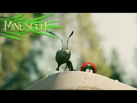 Minuscule Valley Of The Lost Ants Animation Movie 