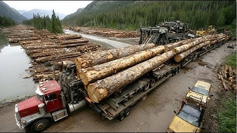 Zaagmolentechnologie, houttransport, riviertransport en meer