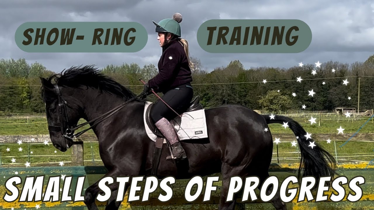 TRAINING MY HORSE FOR THE SHOW RING