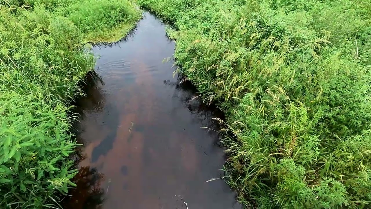 Johnson Beetle Spin Fishing Saves The Day!