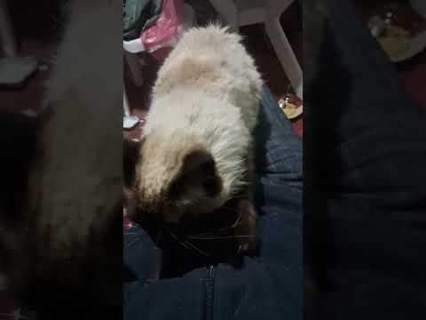 كتسخن بلاصتها باش تنعس