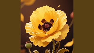 Download Lagu Senja Mengingatkan MP3