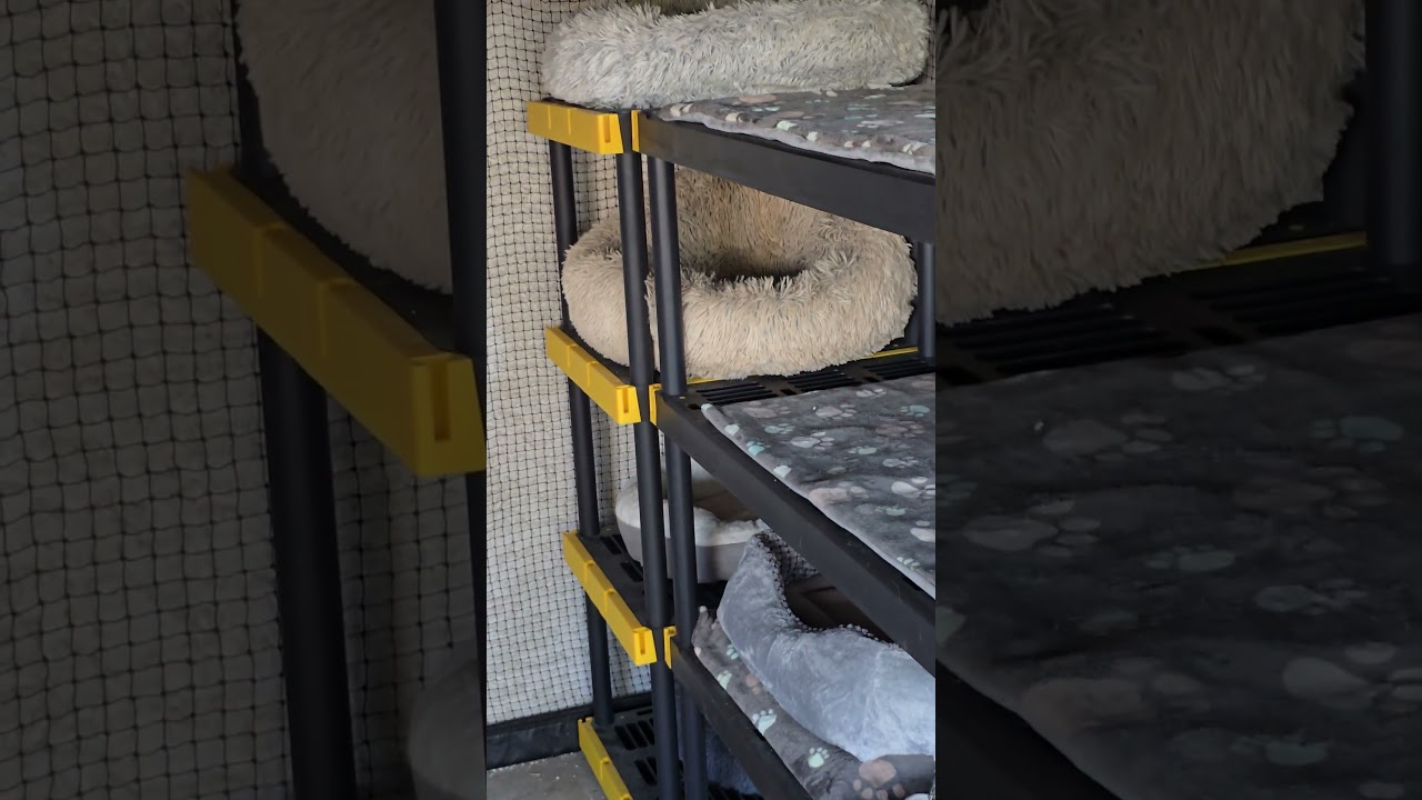 Резервации Безумного Каттервилля? 