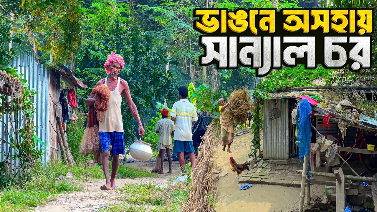 নদী ভাঙনে অসহায় সান্যাল চরের সংগ্রাম | গঙ্গার চরের কঠিন জীবন | Sanyal Char