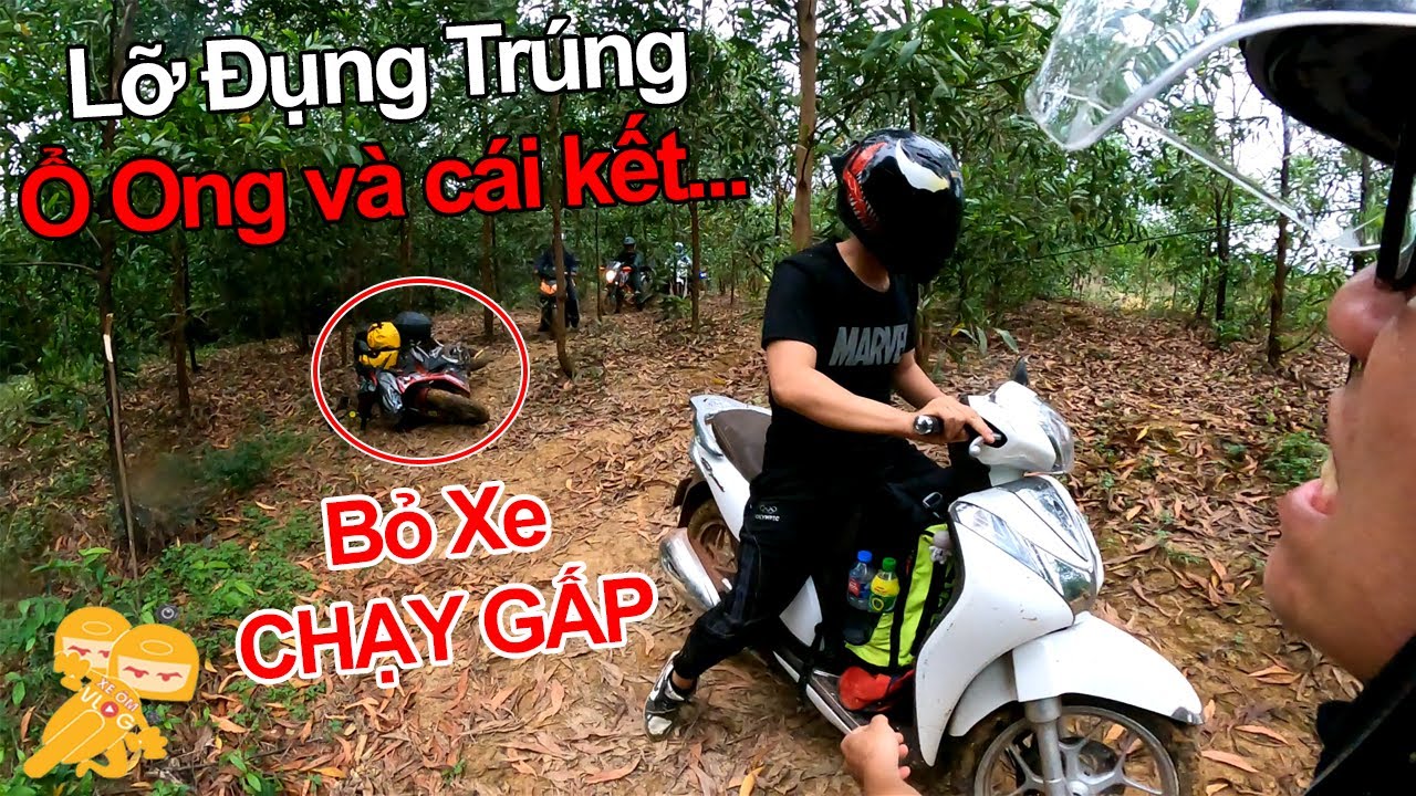 Sài Gòn Đà Lạt 500km Phần 2 - Vào Rừng BỊ ONG DÍ Bỏ Cả... - youtube
