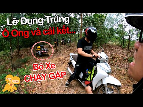 Video Sài Gòn Đà Lạt 500km Phần 2 - Vào Rừng BỊ ONG DÍ Bỏ Cả... - youtube