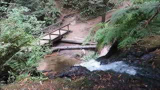 Van Damme State Park