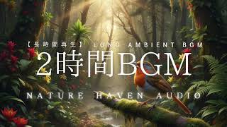Enchanted Forest Ambience with Bird Sounds (2 Hours) | Magical Nature Soundscape