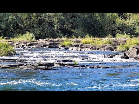 River #environment #nature #watersounds 