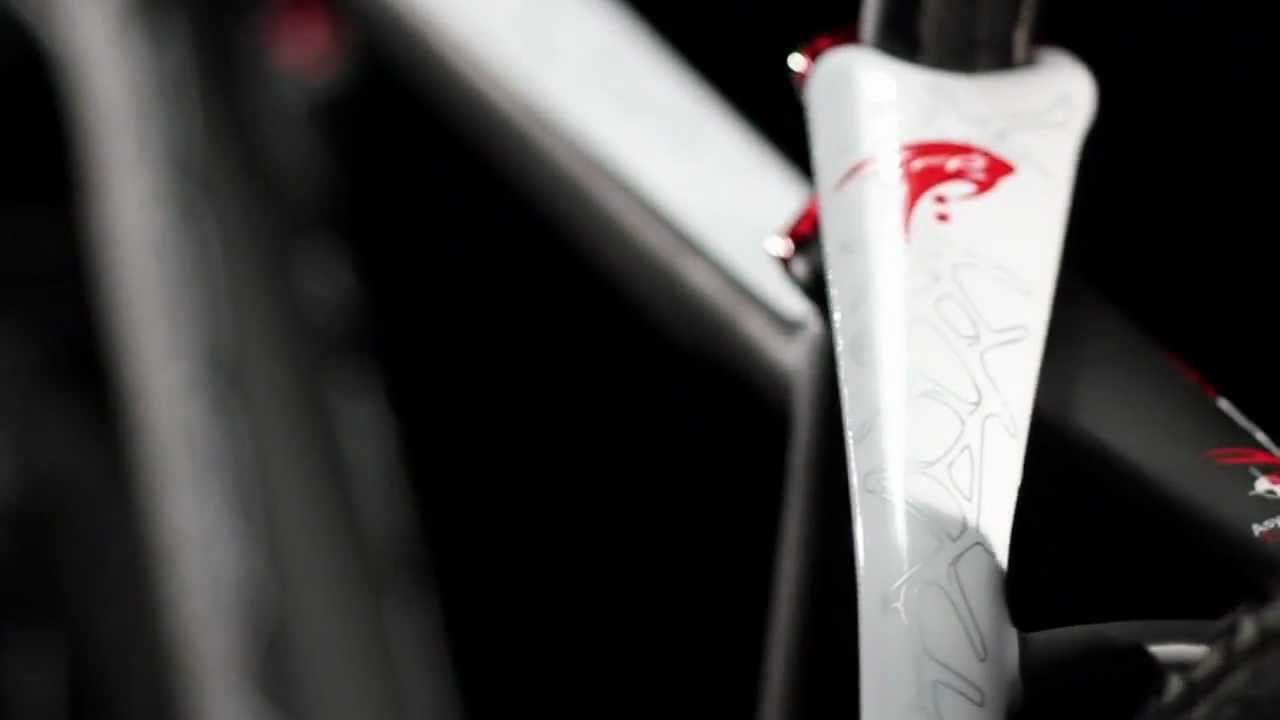PINARELLO DOGMA XC 29" - ENGLISH