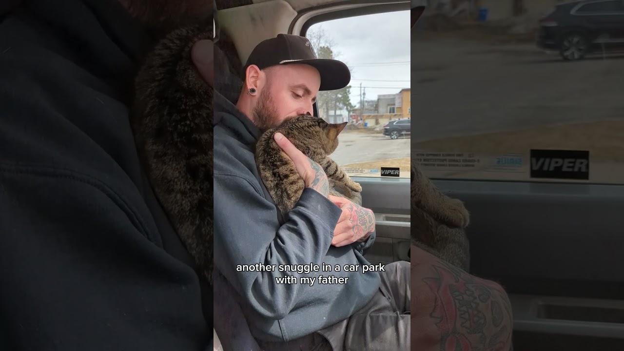 van life with a cat! 🐈🚐