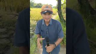 Dibalik Tirai Tradisi  Mansyur S Cover By Mahesa