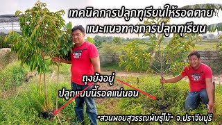 เทคนิคการปลูกทุเรียนให้รอดตาย..แนะแนวทางการปลูกทุเรียน 