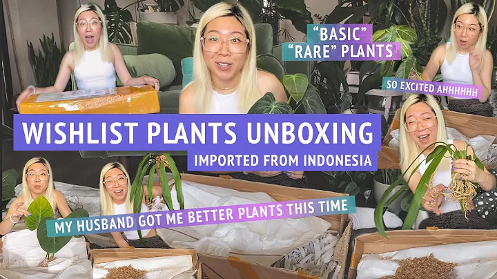 Amazing Unboxing: International Etsy Seller Brings Easy Aroids to Your Wishlist!