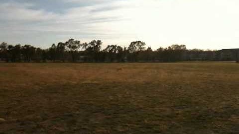 Long EZ RC Model airplane