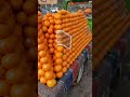 Pakistani Seasonal Fruits
