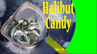 How to Catch Bait for Halibut