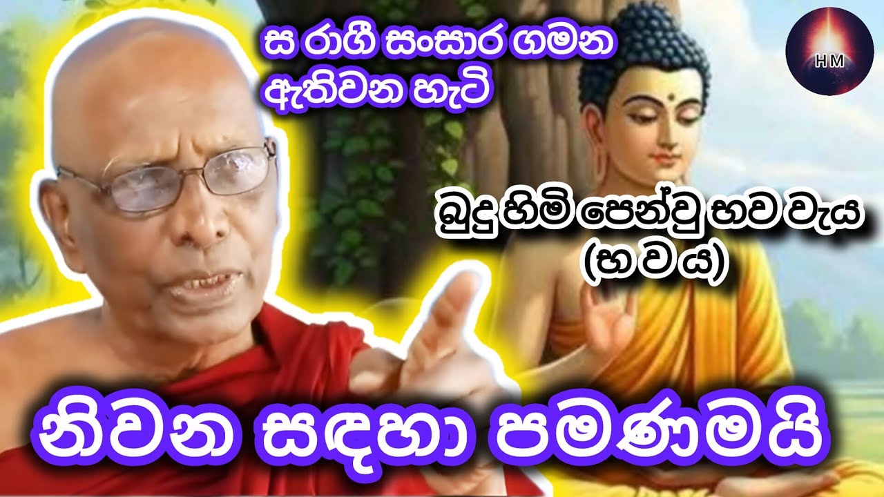නිවන් දැකීම සදහා දැකියයුතු හේතුඵල දහම | Nakkawatte Buddaparayana Thero  