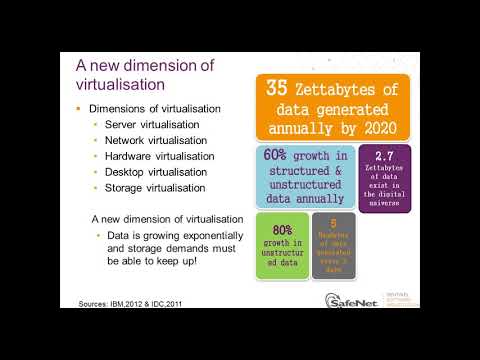 Virtualization and Effective Software Licensing in Virtual Environments