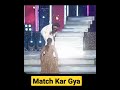 Keerthi suresh dance with ranveer singh  south actress keerthi suresh shorts keerthisuresh