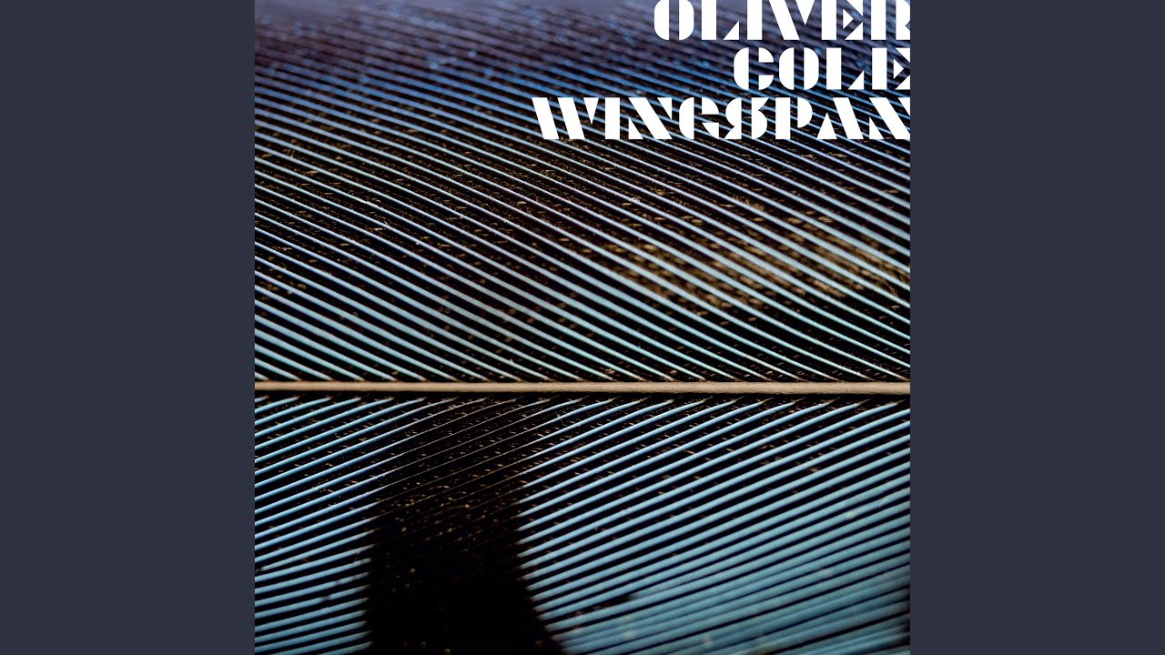 Wingspan auf YouTube ansehen Wingspan auf YouTube ansehen