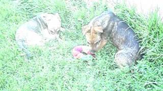 20100527_65.AVI