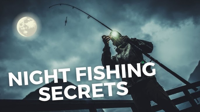 5pcs LED Fishing Light Marine Underwater Deep Drop Night Fish
