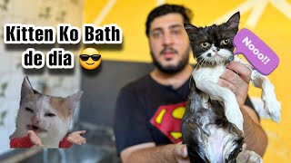 Giving First Bath to Kitten 😸 | Kitten Naraz ho gai muj se 🥲
