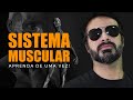 SISTEMA MUSCULAR: ENTENDER TODOS OS MÚSCULOS DO CORPO NÃO SERÁ MAIS UM PROBLEMA! PT. 1