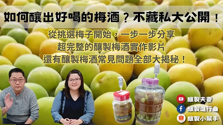 【酿制夫妻】如何酿出好喝的梅酒？不藏私大公开｜超完整的酿制梅酒实作影片｜想酿出好喝的梅酒必看｜从挑选梅子开始一步一步分享｜青梅&黄梅该怎么挑选｜酿制进行曲｜酿制小帮手｜果酒酿制实作｜科学酿制｜酿酒技巧 - 天天要闻