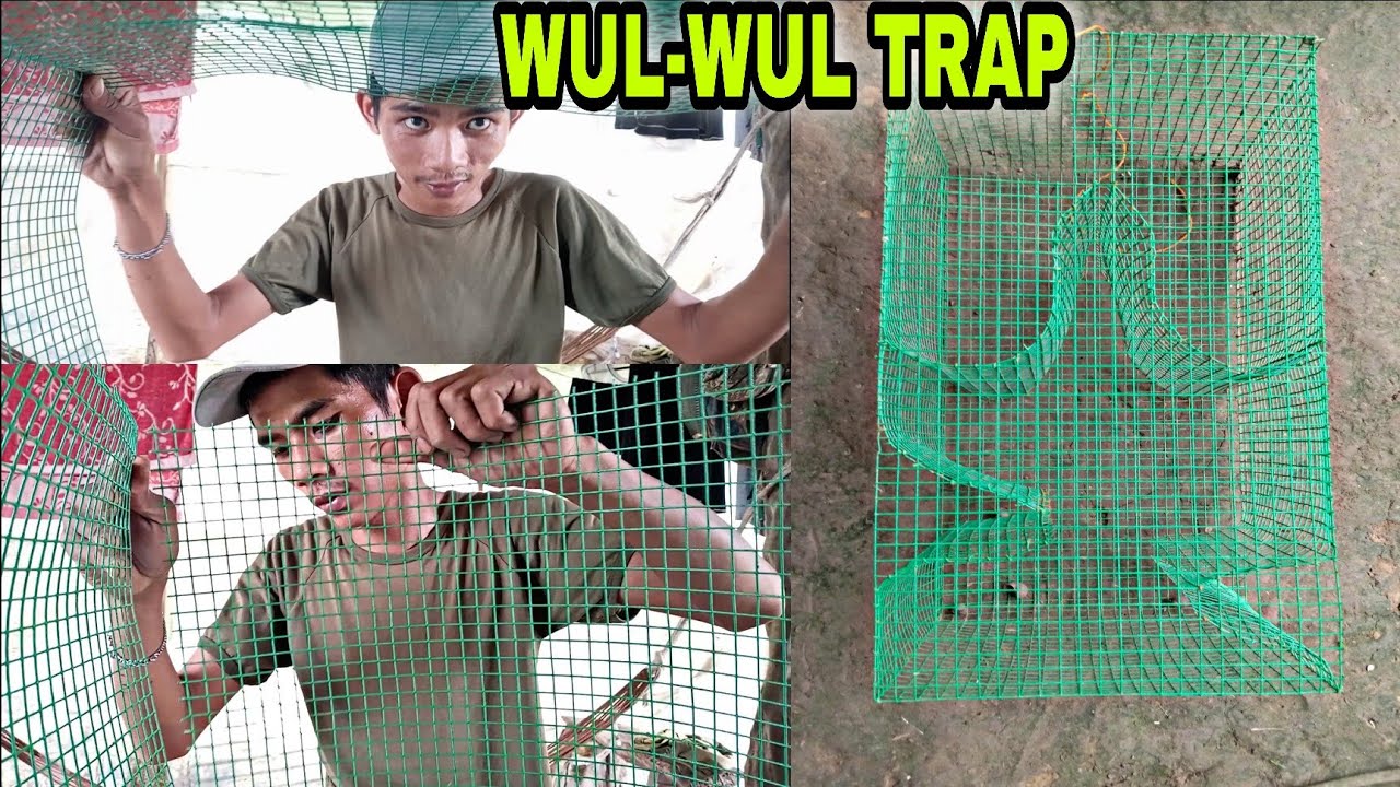 Fishstrap Screen GUMAWA NG SCREEN EEL TRAP||FULL TUTORIAL||STEP BY STEP #SCREENTRAP # ...