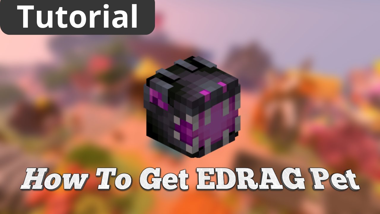 How To Get ENDER DRAGON Pet in Hypixel Skyblock YouTube