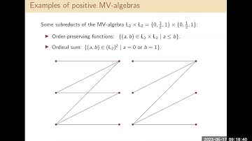Positive MV-algebras (BLAST 2023) - Marco Abbadini