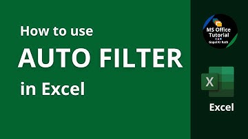 How to use Auto Filter in Excel